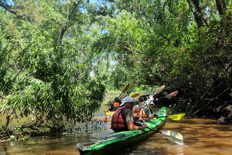 Tigre Delta: Island Life Full-Day Kayaking & Jungle Walk