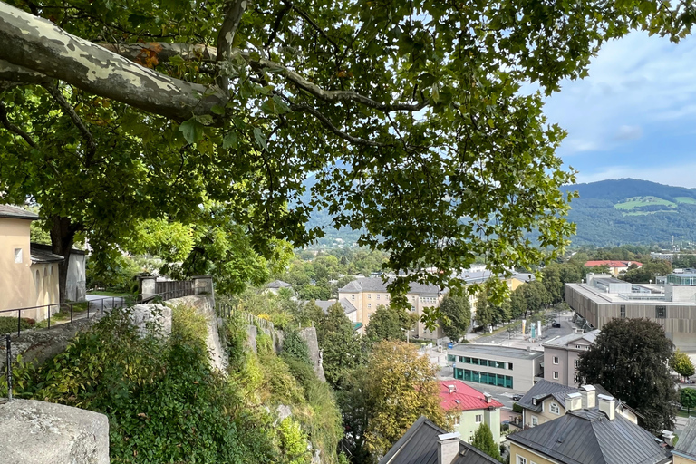 Salzburg: Private the Hills are alive Tour with Pickup