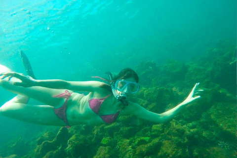 Snorkeling Isabela