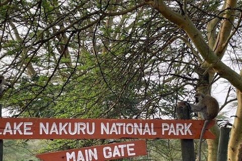 Excursion de nuit au parc de Hells Gate et au parc du lac Nakuru