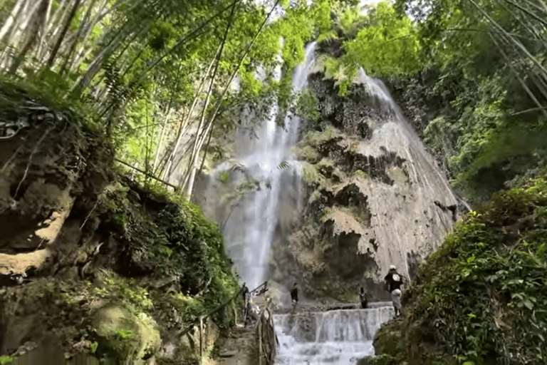 Oslob: Whale Sharks, Tumalog Falls & Sumilon Trio Adventure