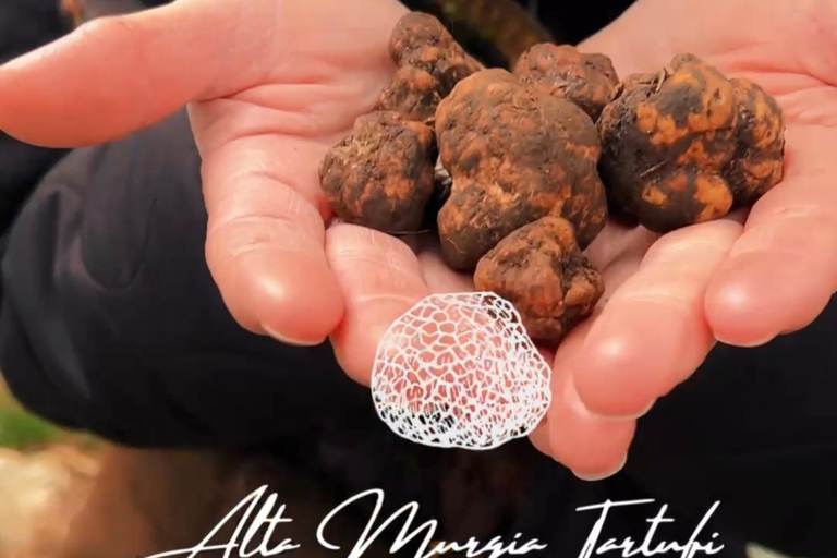 Trüffelsuche mit Verkostung in der Alta Murgia