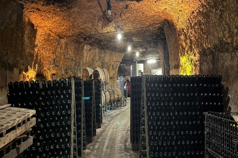 Exclusive Wine Day Trip Loire-vallei vanuit Parijs