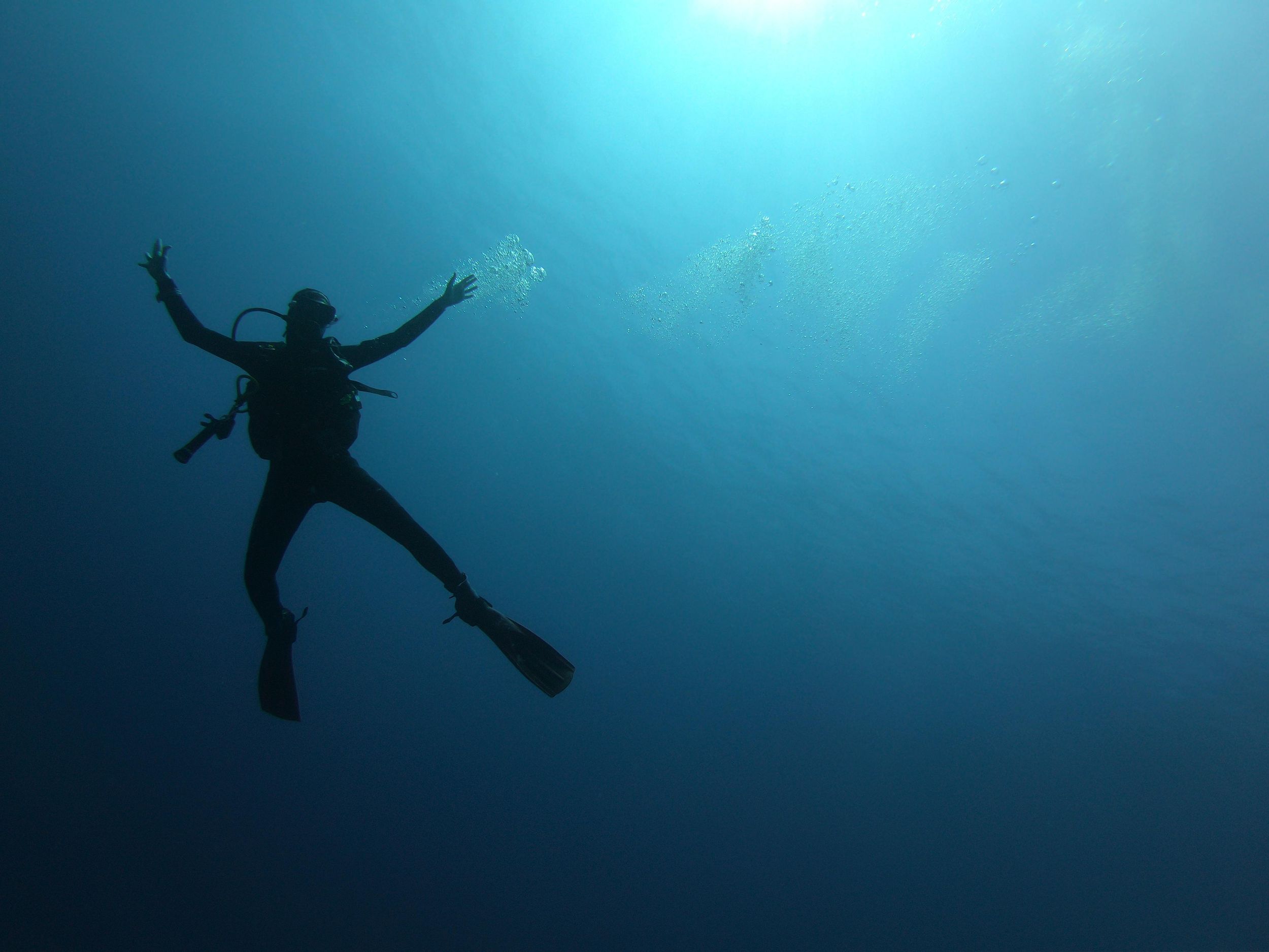 Discovery Scuba: Tauchgang mit Guide für Anfänger in Alghero