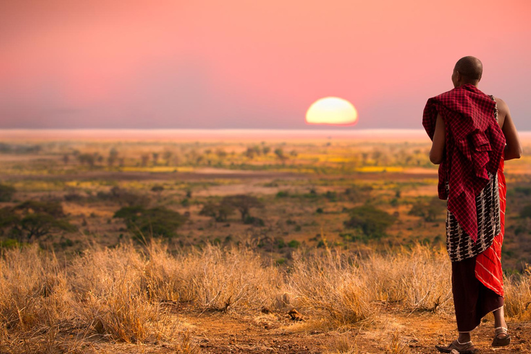 Safári de 3 dias em Masai Mara em um Land Cruiser 4X4 com teto aberto