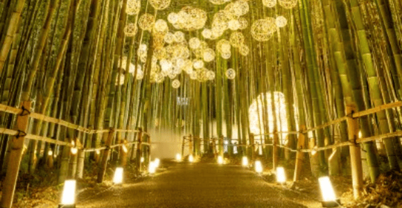 Arashiyama Bamboo Light-up Fushimi Inari & Nara Day Tour