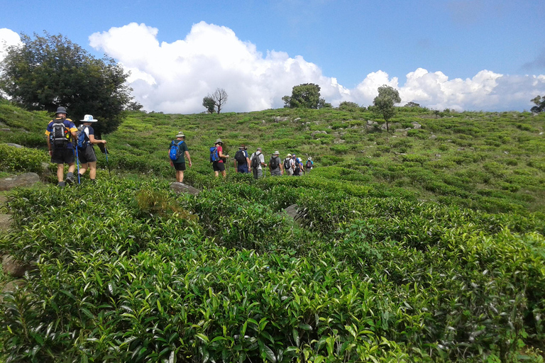 Trekking z Kandy do Ella