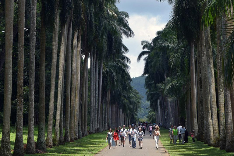 From Colombo: Kandy Temple & Highlights Private Tour Kandy Temple & Highlights Private Day Tour