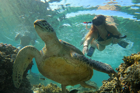 Gili Trawangan Group/Public Snorkeling 3 Wyspa Gili