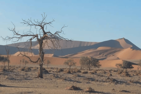 From Swakopmund: Budget Sossusvlei Guided 2-Day Trip