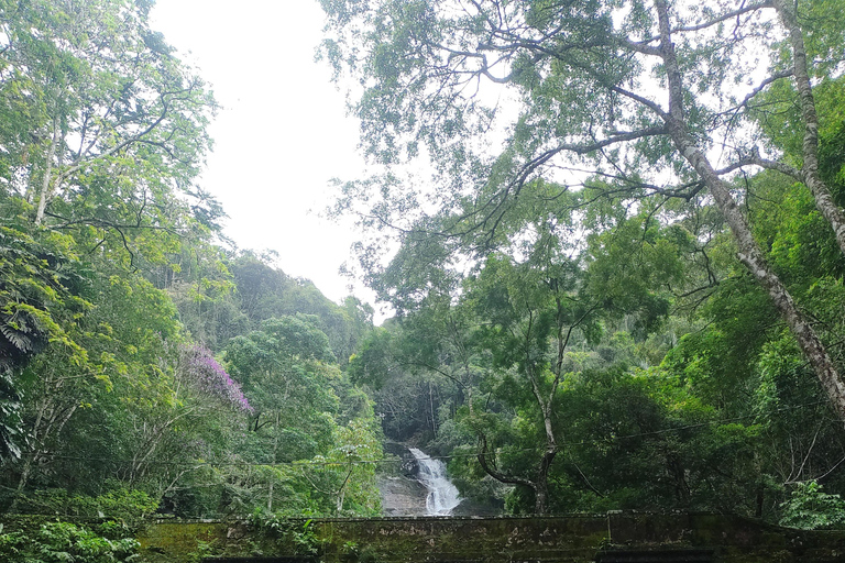 Watervallen en grottenpad in het Tijuca bos