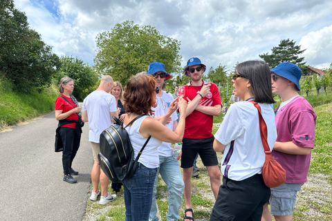 Stuttgart: Wine Tour with wines of the best winemakers Shared Tour
