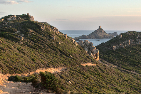 Ajaccio : excursion guidée à terre avec arrêt à La Parata