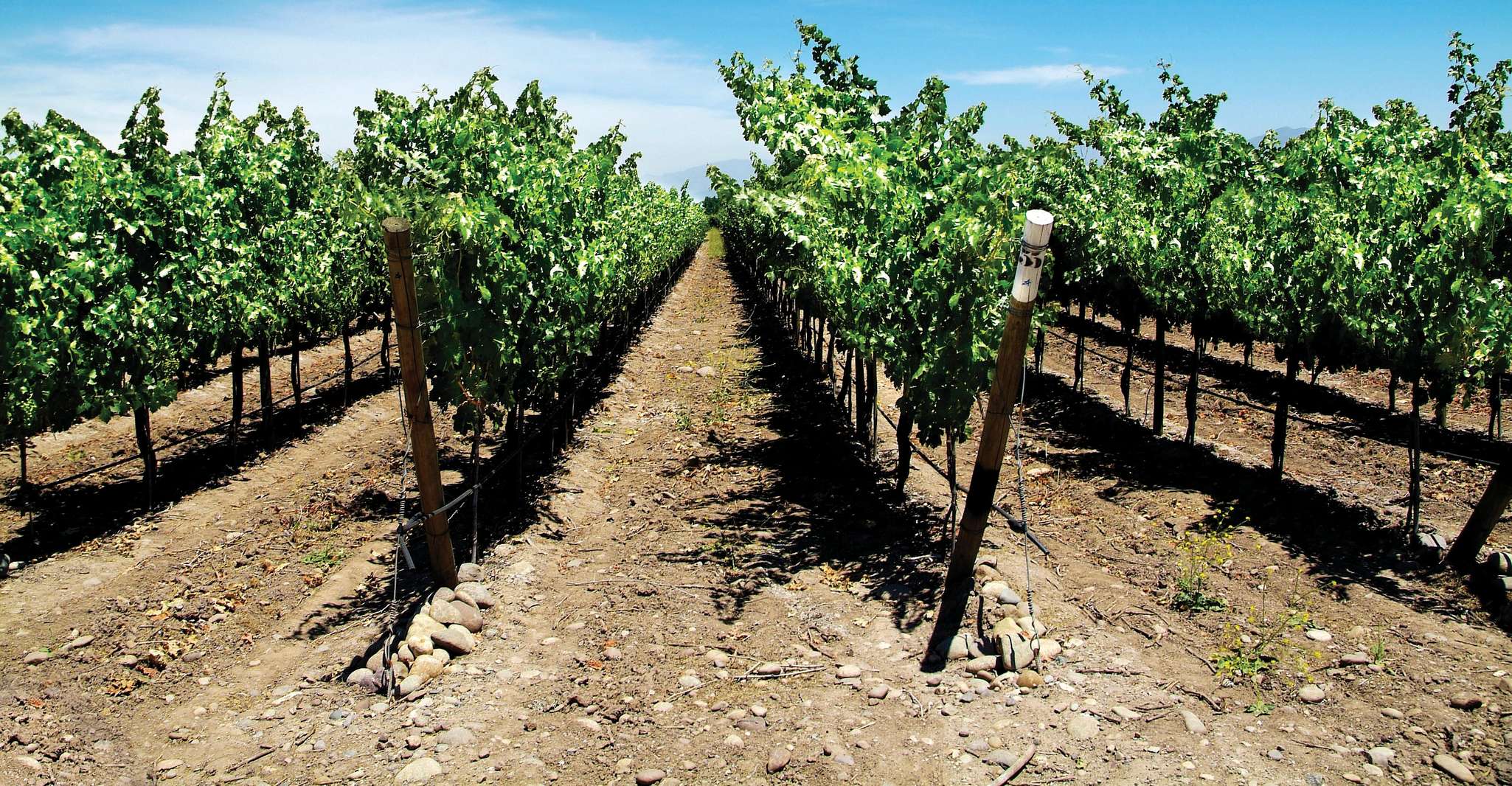 Tour di un giorno intero a Isla Negra, Algarrobo e Undurraga - Hizvo