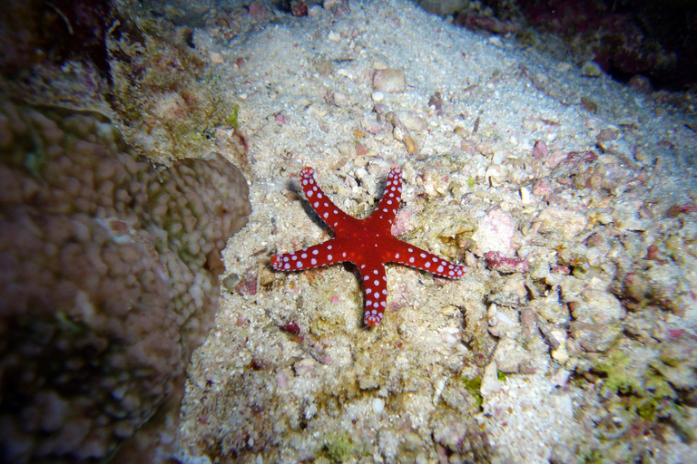 Chania: tour in barca con scooter marino per lo snorkeling