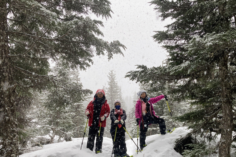 Guided Snowshoeing Adventure from Seward, Alaska 6-Hour Tour