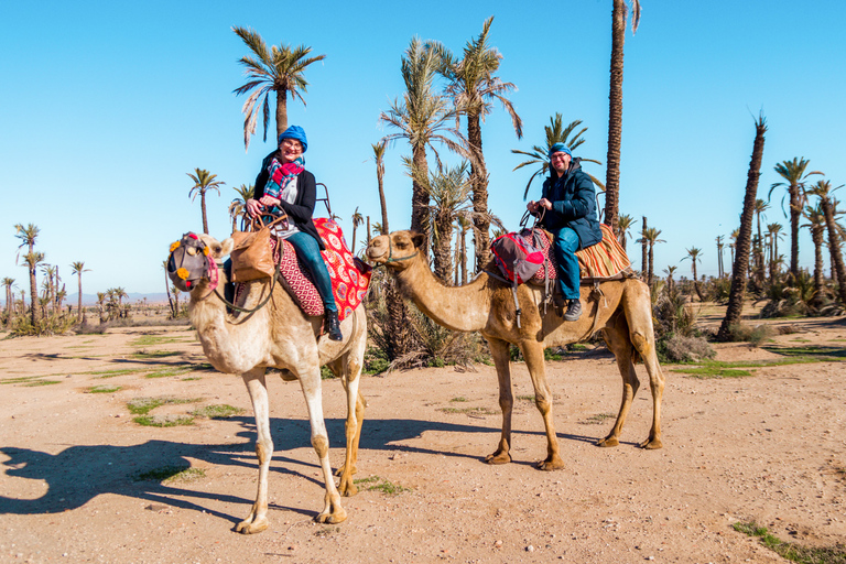 Marrakech: Excursão de meio dia em um quadriciclo no deserto com passeio de camelo