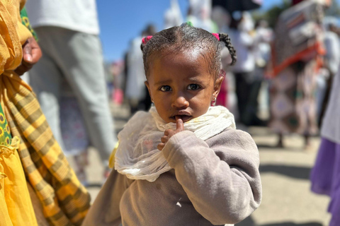 Addis Ababa: Gondar, Gorgora, and Bahir Dar 6-Day Tour