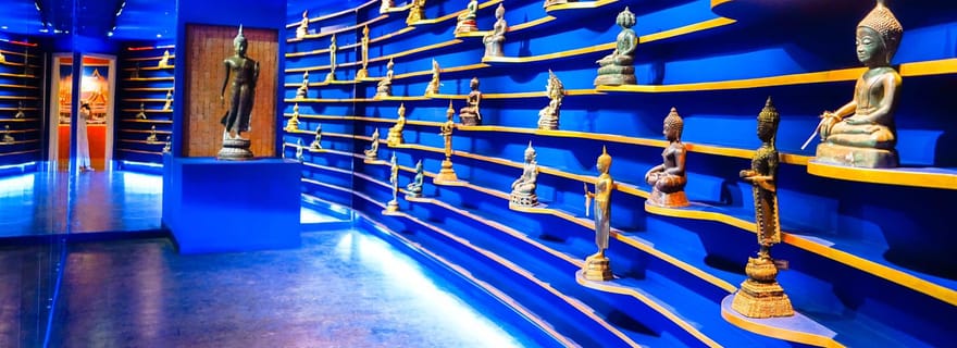 Billet d'entrée pour Fantastic Phuket