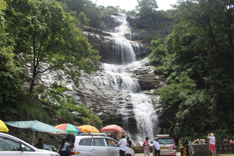 Da Kochi: Tour di 2 giorni di Munnar e Madurai con trasferimenti