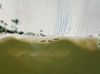 Guided Canoe Tour of the Curonian Spit Lithuania - Housity