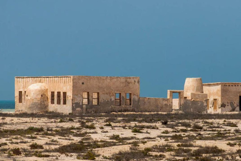 Doha: Nord- und Westküste von Katar Tagestour