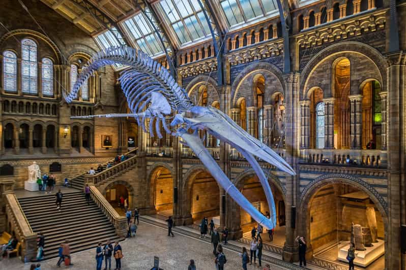 London: Natural History Museum Walking Tour | GetYourGuide