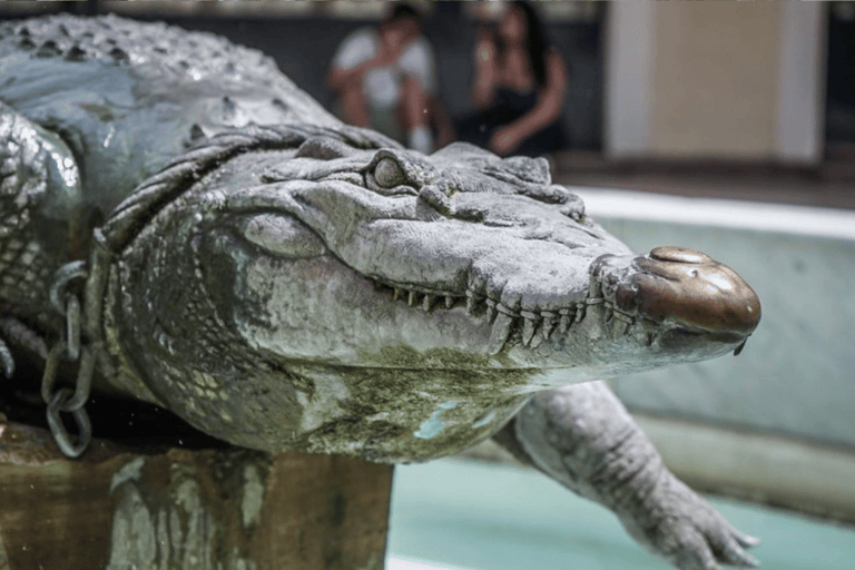 Nimes Degustación: costumbres, leyendas y gastronomía