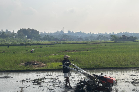 Yogyakarta: Bike Tour, Pottery, Ricefield, Museum With Lunch Bike, Pottery Class, Rice fields, Museum (No Lunch)