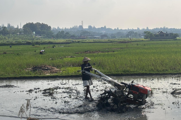 Yogyakarta: Bike Tour, Pottery, Ricefield, Museum With Lunch Bike, Pottery Class, Rice fields, Museum (No Lunch)