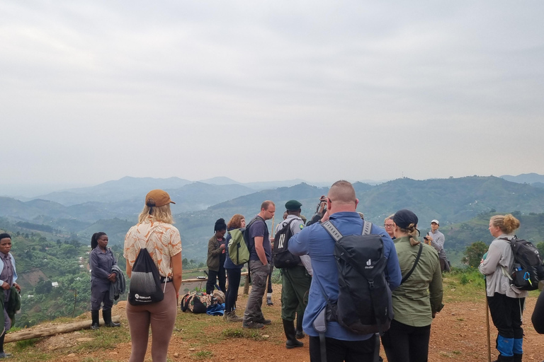 Uganda: 7-dagars gorillasafari och djurliv