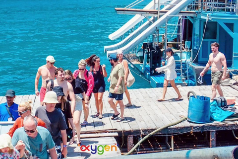 Koh Tao in a Day: Turtles, Hidden Reefs & Nangyuan Viewpoint