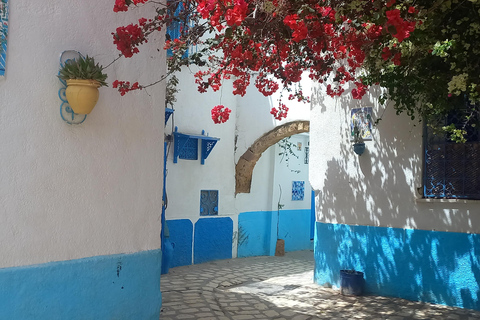 Tunis: 2-Day North Africa Highlights Tour & 1-Night Tabarka