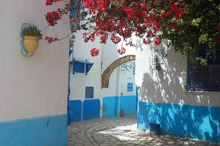 Tunis: 2-Day North Africa Highlights Tour & 1-Night Tabarka