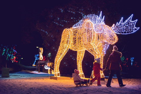 Niagara Falls Winter Festival of Lights Tour
