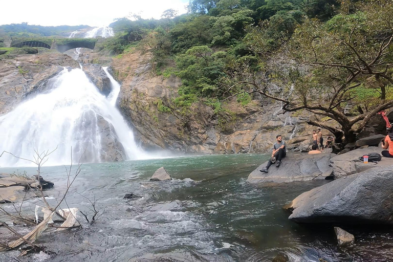 Goa: SIC Dudhsagar Waterfall and Spice Plantation Day Tour