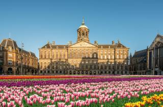 Amsterdam: Private Führung durch den Königspalast ohne Anstehen