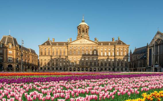 Private Führung durch den Königlichen Palast von Amsterdam (Skip-the-line)