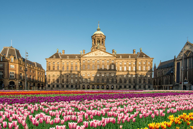 Amsterdam: Tour guidato privato del Palazzo Reale che salta la fila