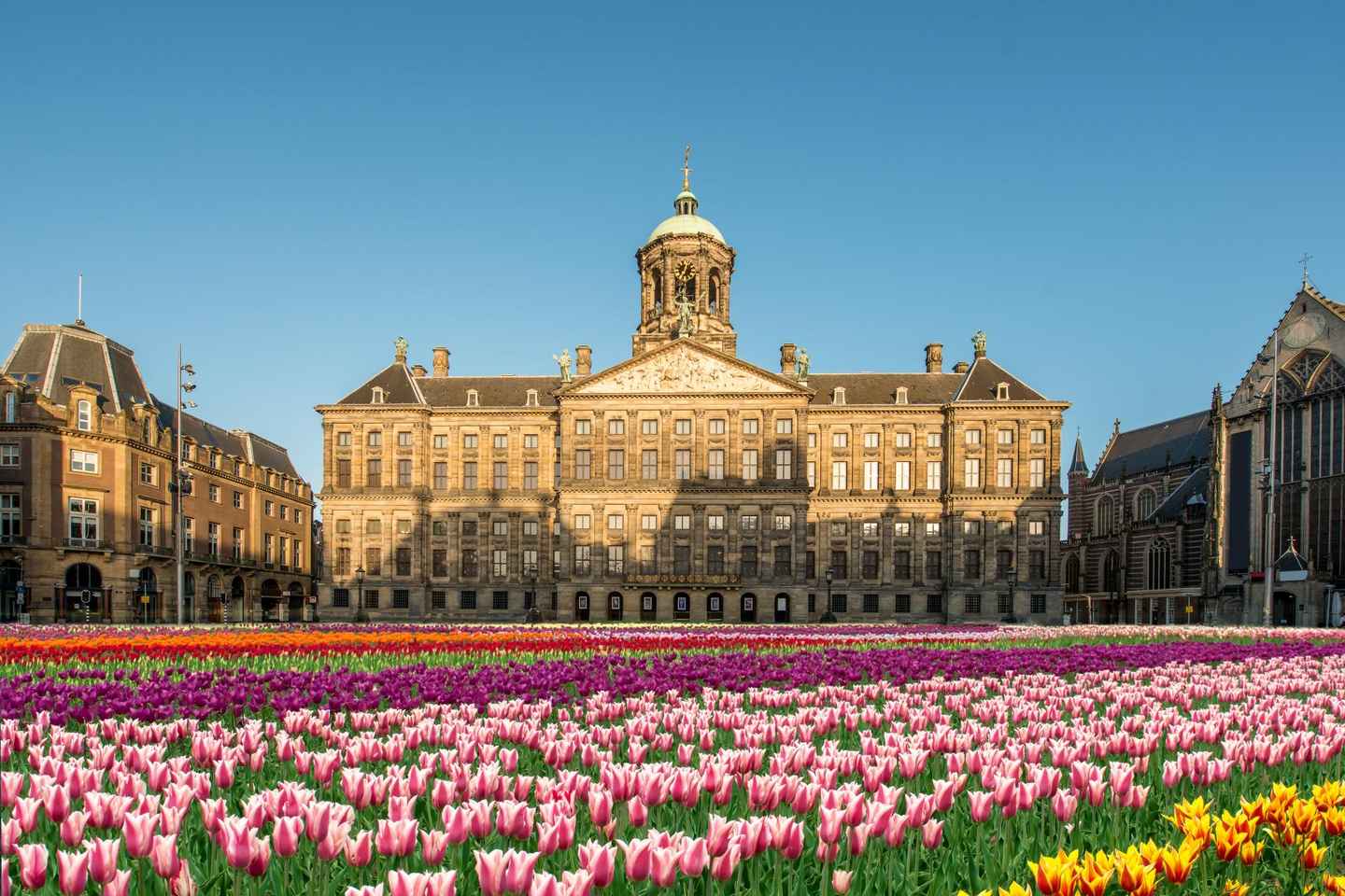 Amsterdam: Skip-the-line Royal Palace Private Guided Tour - 2-hour: Royal Palace