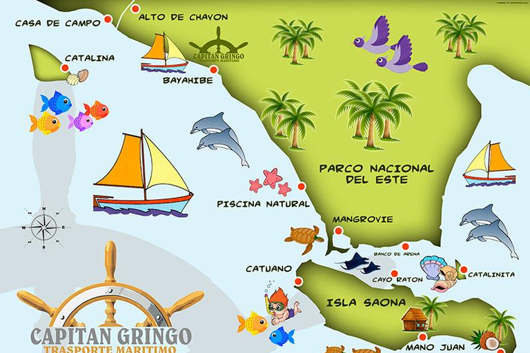 Saona Island: Private Experience from Punta Cana and Bayahibe in a Sprinter