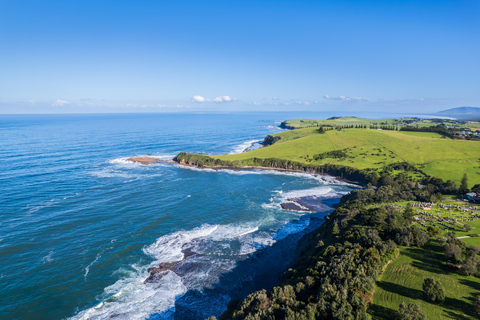Sydney Secret Coastline: Kiama Blowhole, Wollongong Wildlife Shared Tour, Meet at Furama Darling Harbour