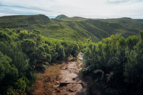 Funchal: Vereda do Fanal PR13 Hiking with Transfer & Guide