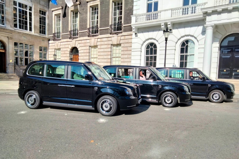 London: Royal Windsor & Runnymede Private Taxi Tour