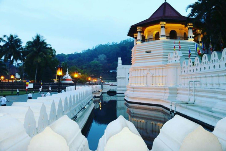 Colombo: Kandy Day Trip with Tooth Temple, Tea Factory Visit