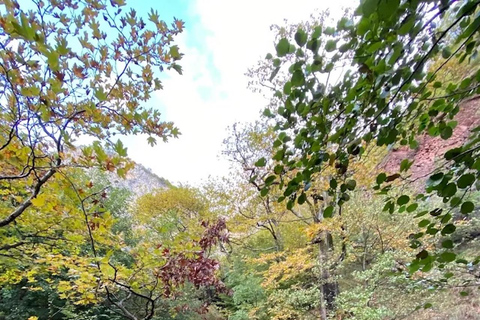 Tirana: Dajti Cable Car, Shengjergj Waterfall & Hike Tour