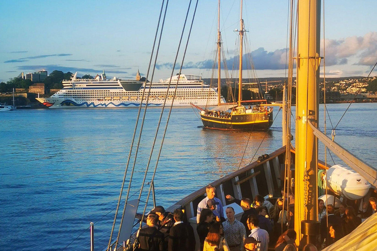 Oslo : croisière à la découverte de l'Oslofjord avec dîner de fruits de mer