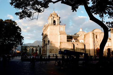 Private Oaxaca City Tour - Best Rated