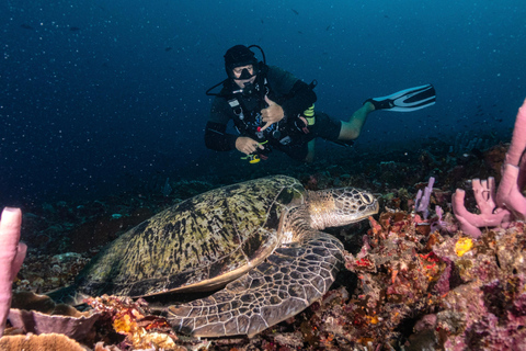 Meno Dive Club: Discover Scuba Diving Experience - Gili Meno
