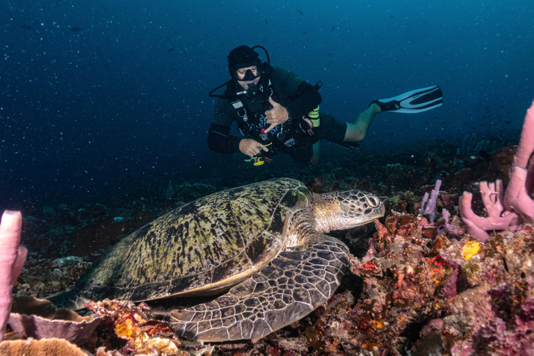 Meno Dive Club: Discover Scuba Diving Experience - Gili Meno